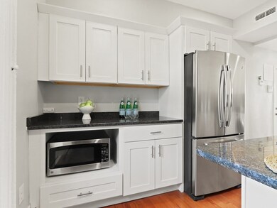 162 W Concord St unit 2, Boston, MA 02118 - photo 5