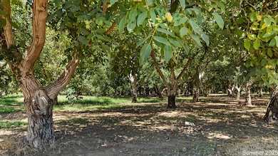 5210 N Fine Rd, Linden, CA 95236 - photo 7