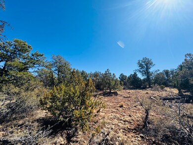 4108 Sunset Ridge Loop unit 135, Happy Jack, AZ 86024 - photo 6