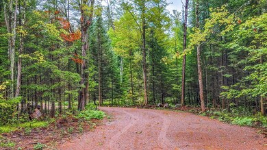 ON Sanctuary Rd, Tomahawk, WI 54487 - photo 7