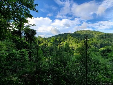 512 Langford Branch Rd, Cane River, NC 28714 - photo 3