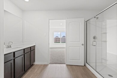 Bathroom featuring hardwood / wood-style floors, v