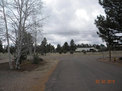 4961 S 29th St, Show Low, AZ 85901 - photo 2