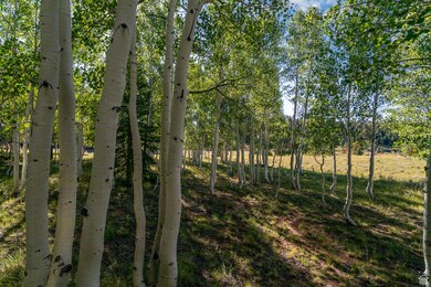 Lot View