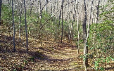 Additional View