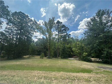 3916 Trinity Church Rd, Pineville, LA 71360 - photo 5