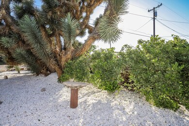IMG_9240_MLS