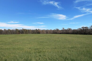 1715 11th St, Jesup, IA 50648 - photo 4