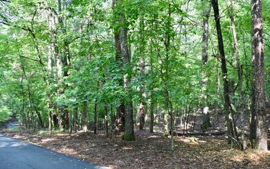 Additional View