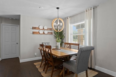 4103 W Bay View Ave, Tampa, FL 33611 - photo 6