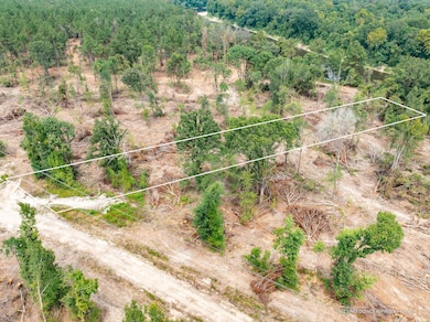 Leaf_River_Parcel_7-3