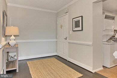 5901 Mount Eagle Dr unit 818, Alexandria, VA 22303 - photo 5