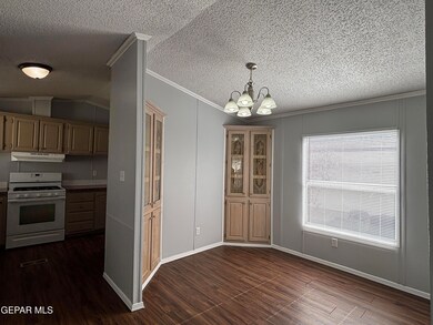 850 Talbot Ave unit E22, Canutillo, TX 79835 - photo 5