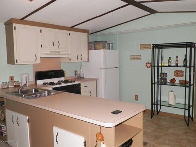 18904 SW 109th St, Dunnellon, FL 34432 - photo 5