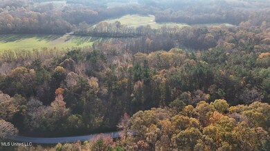 dji_fly_20241126_083024_0196_17326582912