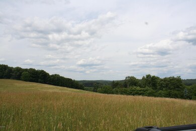 0 Daniels Rd, Honesdale, PA 18431 - photo 5