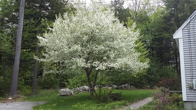 CHERRY TREE