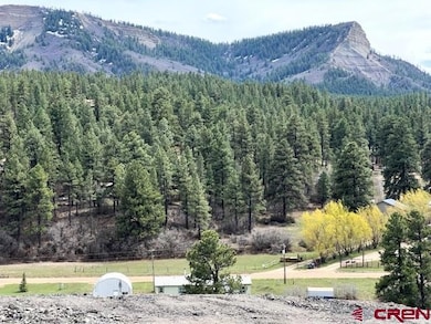 10179 W U S Highway 160, Pagosa Springs, CO 81147 - photo 4