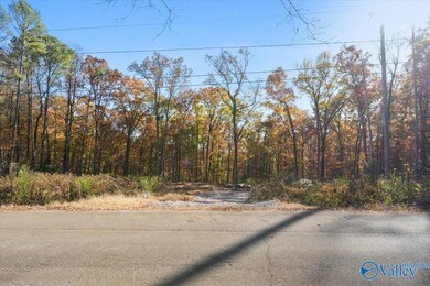 244 Brentwood Ln, Madison, AL 35758 - photo 4