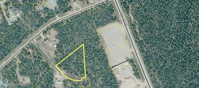 L12 Terpsichore Ct, Kasilof, AK 99610 - photo 3