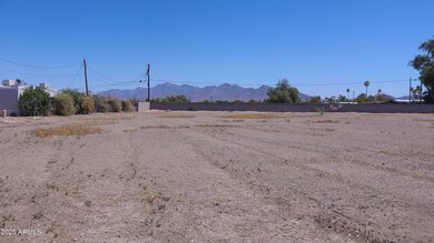 IMG_5406 (1)