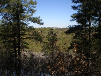 36282 Lodgepole Trace unit Lot F14, Trinidad, CO 81082 - photo 2