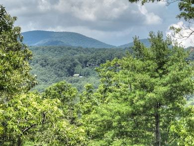 28 Aska Forest Trail, Blue Ridge, GA 30513 - photo 5