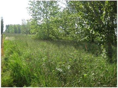 0 Herman Rd Lot unit 11666992, Eugene, OR 97408 - photo 2