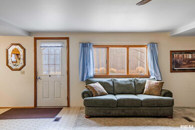 1720 Camp Cedar Point Ln, Makanda, IL 62958 - photo 6