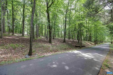 N/A Turner Mountain Rd, University, VA 22903 - photo 4
