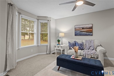 10710 Courthouse Rd, Dinwiddie, VA 23841 - photo 6