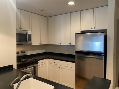 1521 Virginia Ave unit 1, Charlottesville, VA 22903 - photo 3