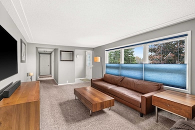 4319 Decker Rd, Duluth, MN 55811 - photo 5