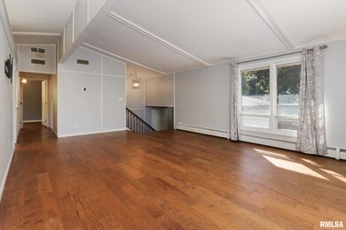 314 S Maple Ave, Minier, IL 61759 - photo 4