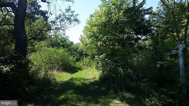 906 Strasburg Rd, Front Royal, VA 22630 - photo 5