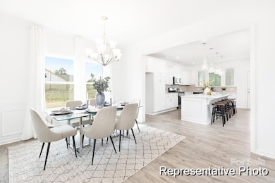 2416 Morgan Hills Dr unit 297P, Albemarle, NC 28001 - photo 6