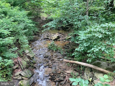14787 Laurel Rd, Felton, PA 17322 - photo 5