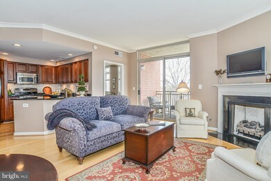 4490 Market Commons Dr unit 410, Fairfax, VA 22033 - photo 3