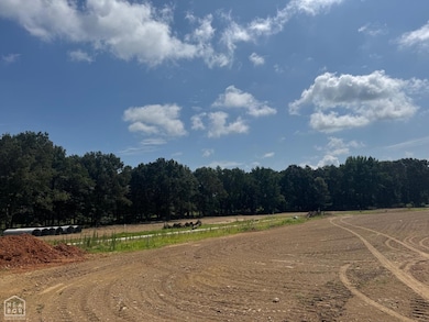 4 Horseshoe, Brookland, AR 72417 - photo 3