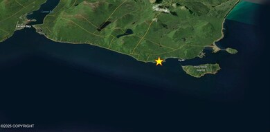L5 Uyak Bay, Larsen Bay, AK 99624 - photo 7