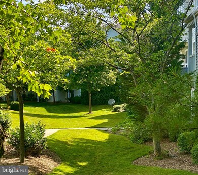 2405 Avalon Bay Ln unit 2405, Herndon, VA 20171 - photo 3