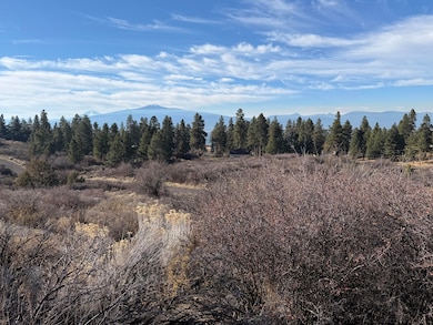 0 Oregon Shores Dr unit 240741, Chiloquin, OR 97624 - photo 3