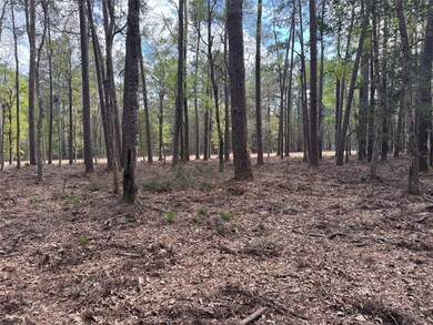 0 County Road 2317 unit 78772077, Dayton, TX 77535 - photo 4