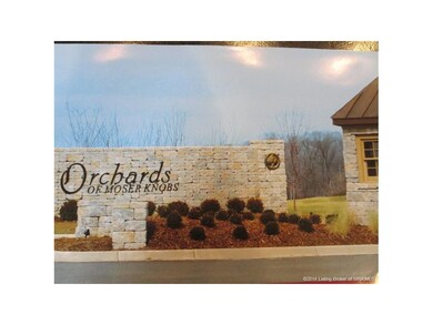 1906 Apple Blossom Dr unit Lot 4, Floyds Knobs, IN 47119 - photo 4