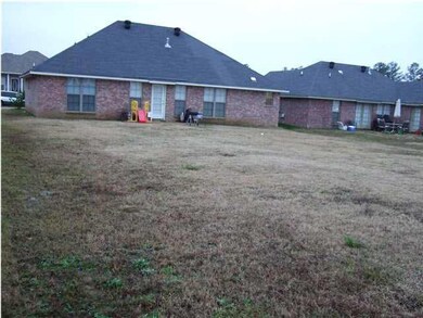 Huge Back Yard