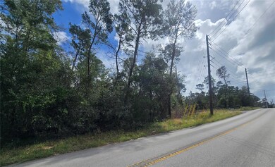 3008 Clearwood St, Inverness, FL 34452 - photo 7