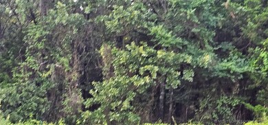 0 E Moonshine 1000 Rd unit 2526568, Gore, OK 74435 - photo 4