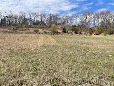 570 Fairway Dr unit Lot 22, Union, MO 63084 - photo 3