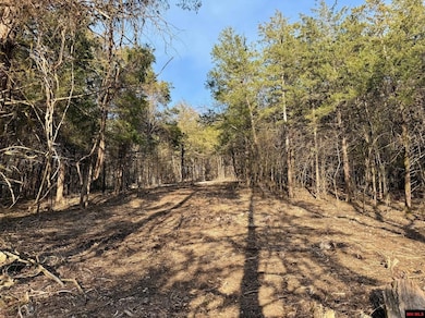 004-00632-000 Hwy 345, Cotter, AR 72626 - photo 2