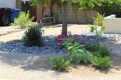 Low Maintenance Front Landscape